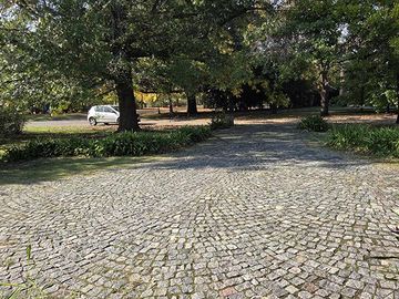 place photo 28