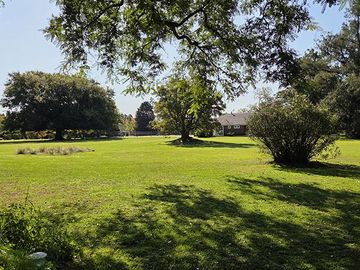 place photo 46
