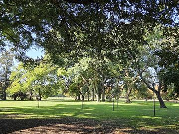 place photo 47