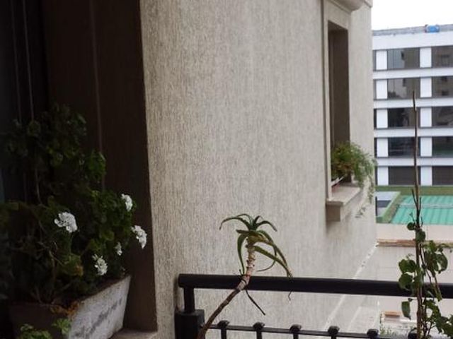 place photo 37