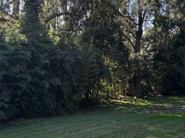 place photo 45