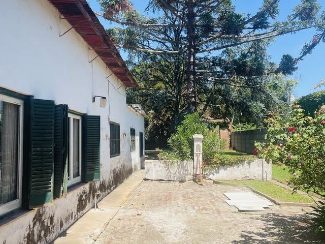 place photo 54