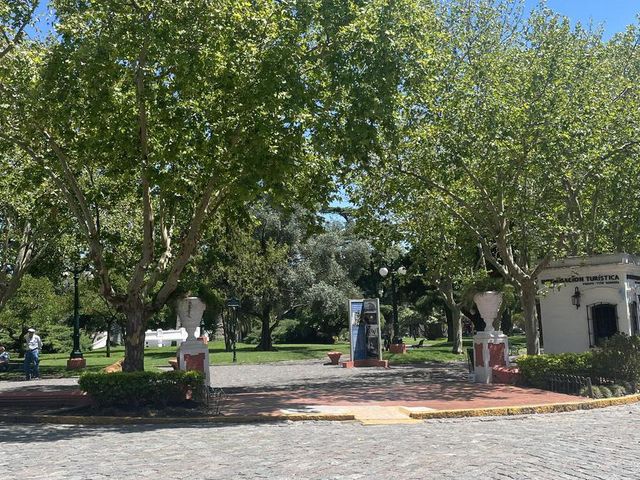 place photo 66