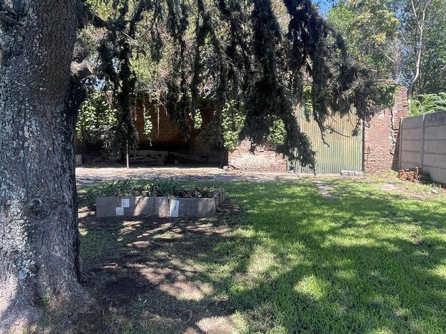 place photo 46