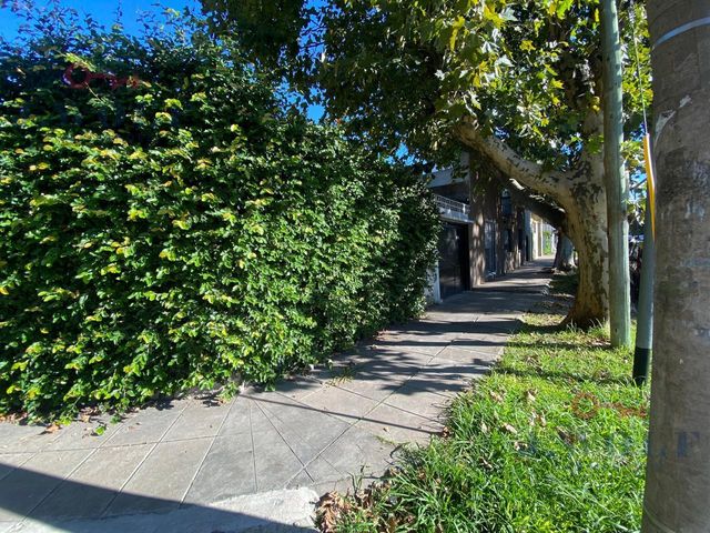 place photo 32