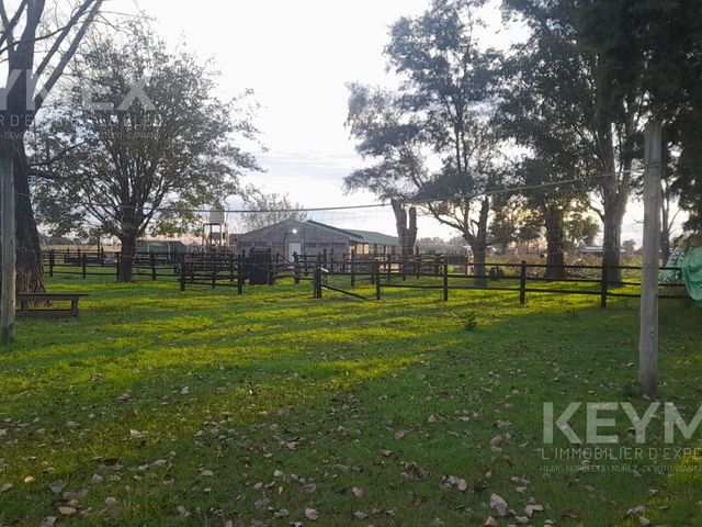 place photo 63