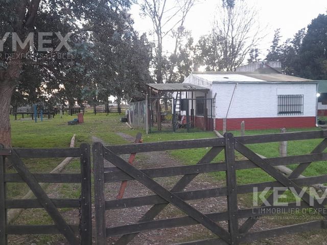 place photo 62