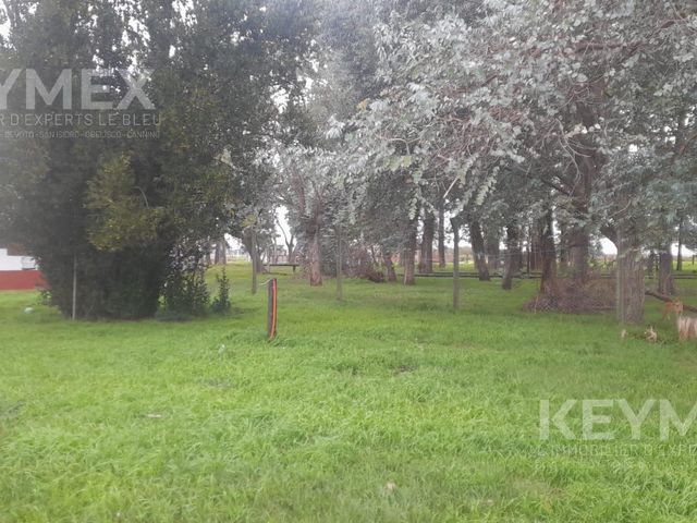 place photo 58
