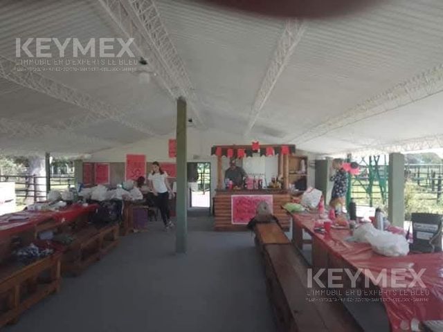 place photo 49
