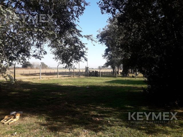 place photo 26