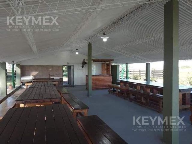place photo 31