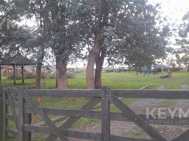 place photo 61