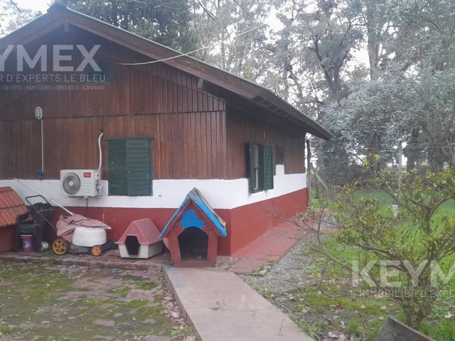 place photo 59