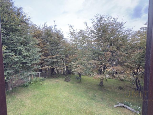 place photo 61