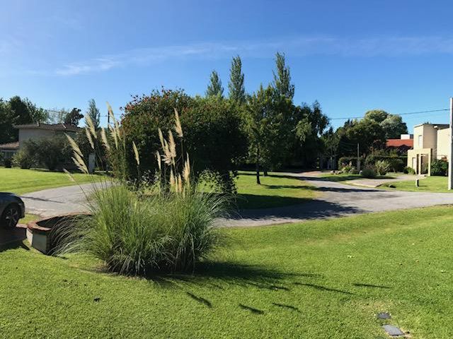 place photo 21