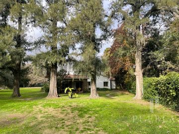 place photo 13