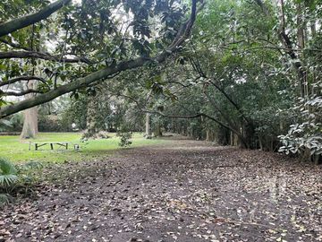 place photo 41