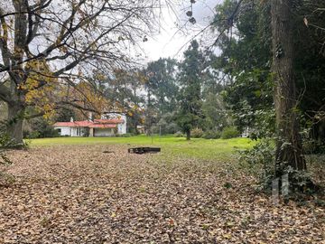 place photo 34