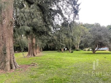 place photo 44