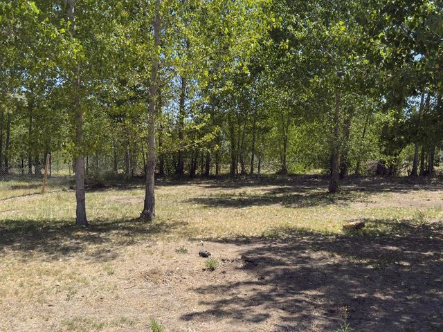 place photo 41