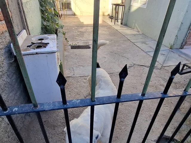 place photo 25