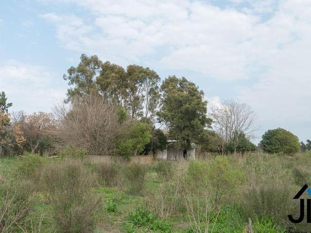 place photo 13