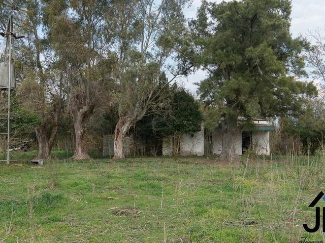 place photo 12