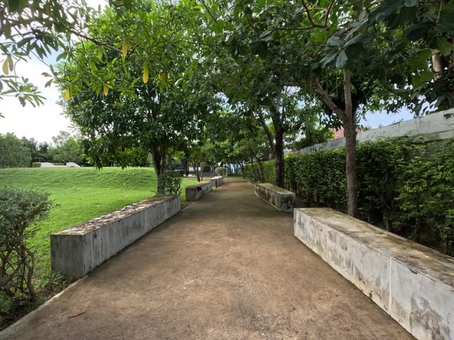 place photo 55