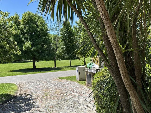place photo 71