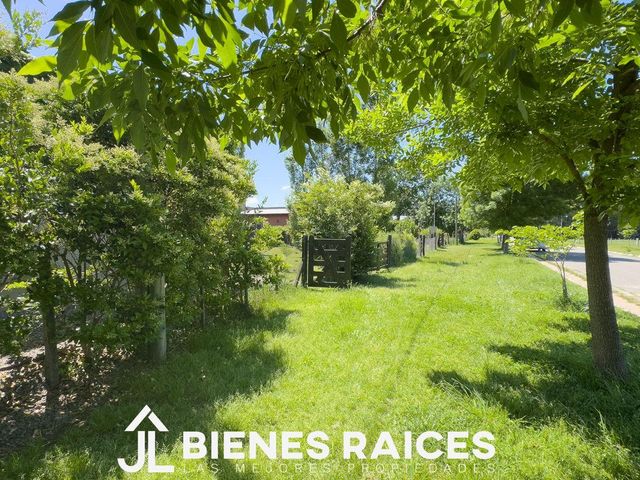 place photo 38