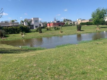 place photo 37