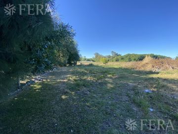place photo 32