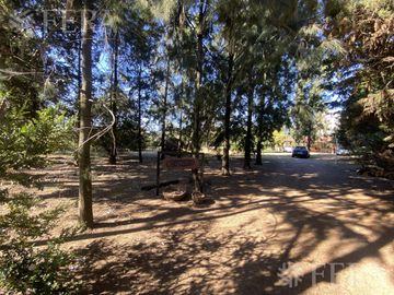 place photo 47
