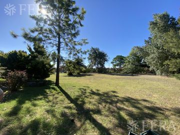 place photo 34