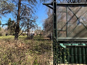 place photo 53