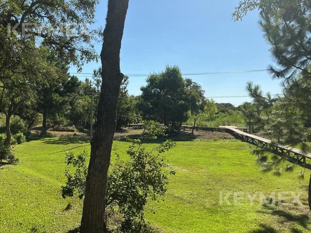place photo 42