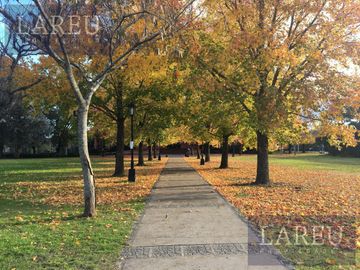 place photo 42