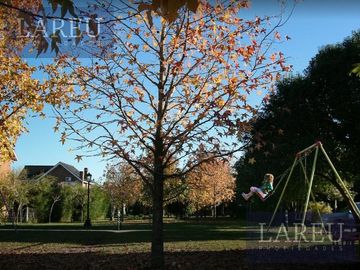 place photo 41