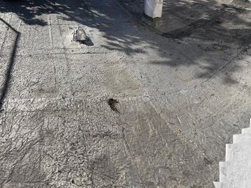 place photo 58