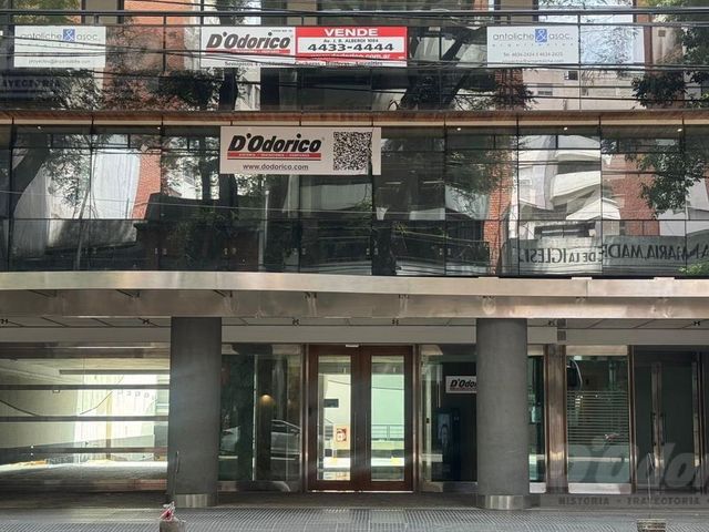 place photo 37