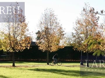 place photo 41