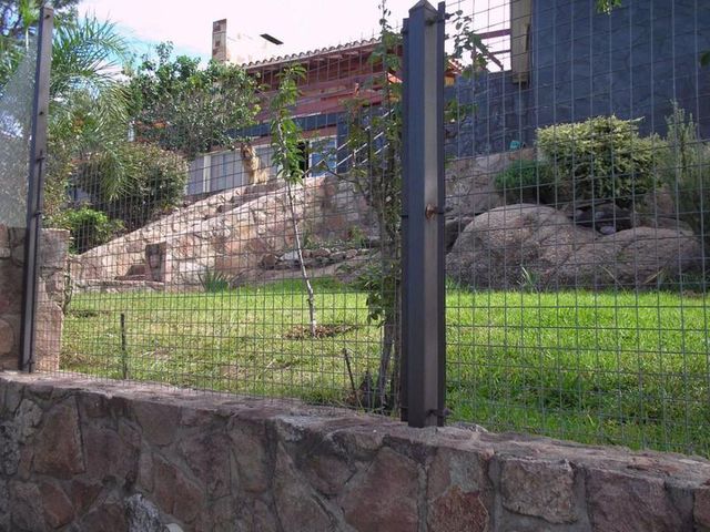 place photo 33