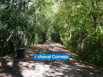 place photo 37