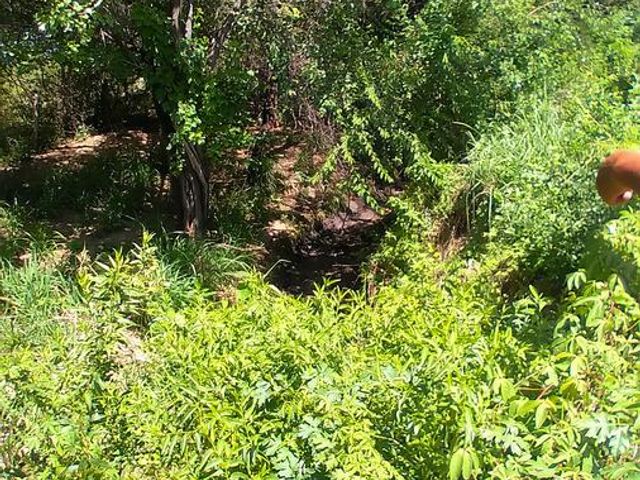 place photo 19