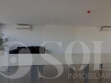 place photo 47