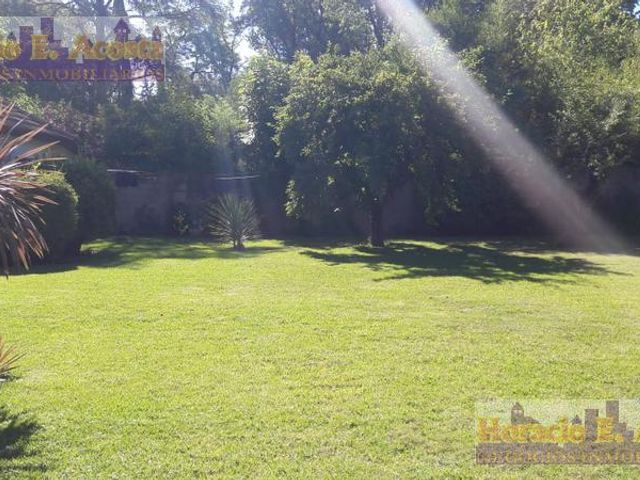 place photo 38