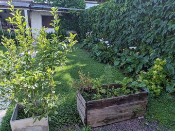 place photo 23