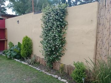 place photo 26