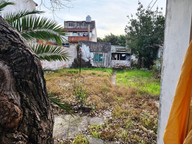 place photo 19
