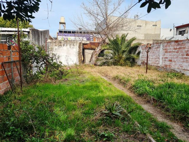 place photo 17
